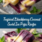 Blackberry, Pineapple, and Coconut Swirl Italian Ice Pops Recipe