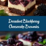 Blackberry Cheesecake Brownies Recipe