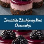 Blackberry Mini Cheesecakes Recipe