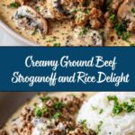 Ground Beef Stroganoff and Rice Recipe