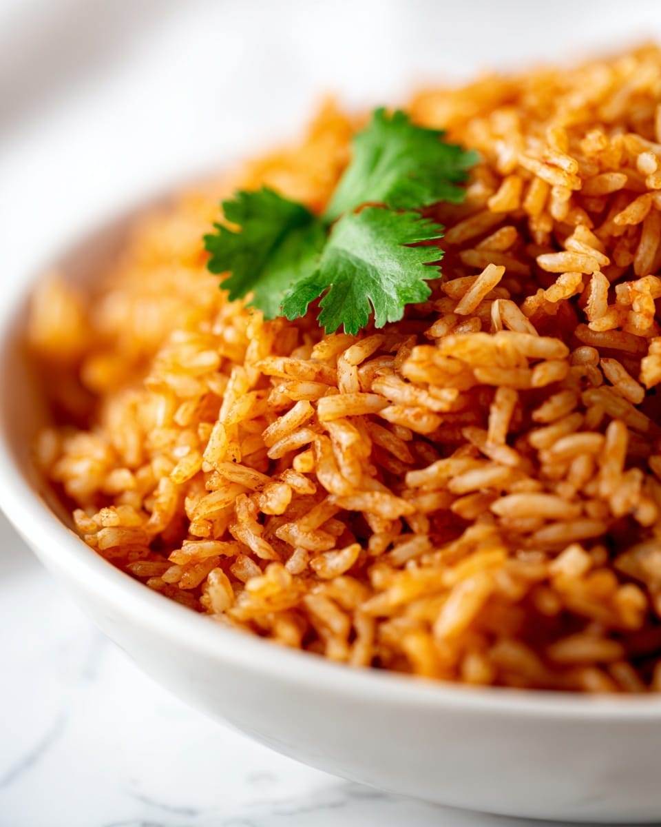 Homemade Spanish Rice Recipe - Recipe Image