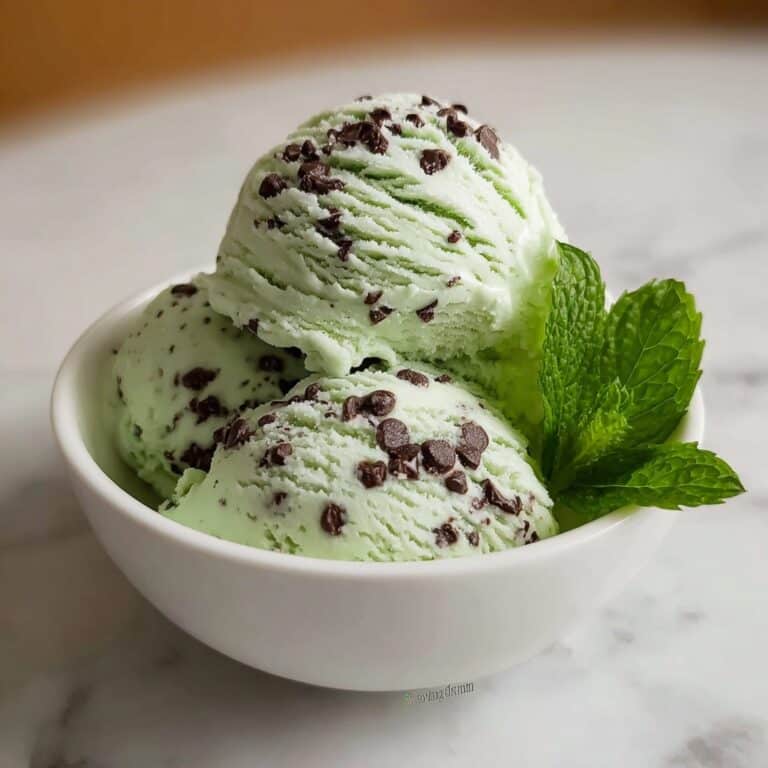 Mint Chocolate Chip Ice Cream Recipe
