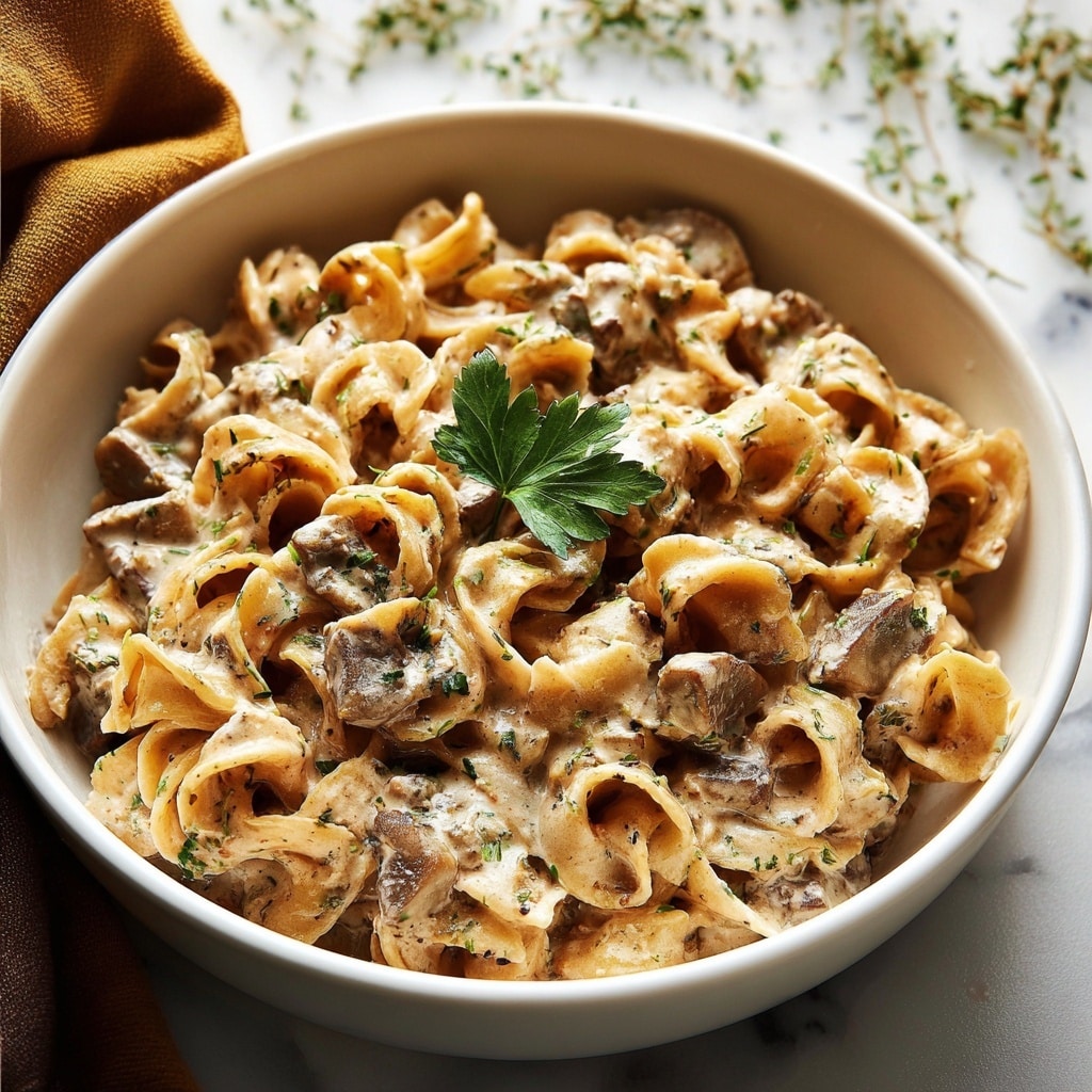 Slow Cooker Beef Stroganoff Recipe - Recipe Image