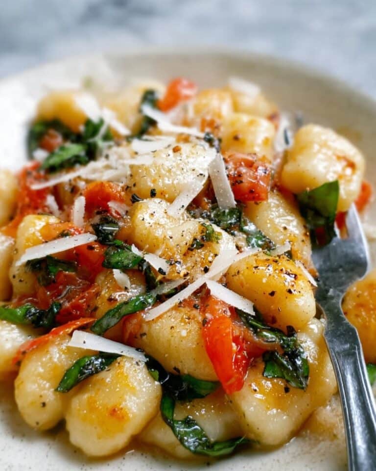 Crock Pot Italian Style Gnocchi Soup Recipe